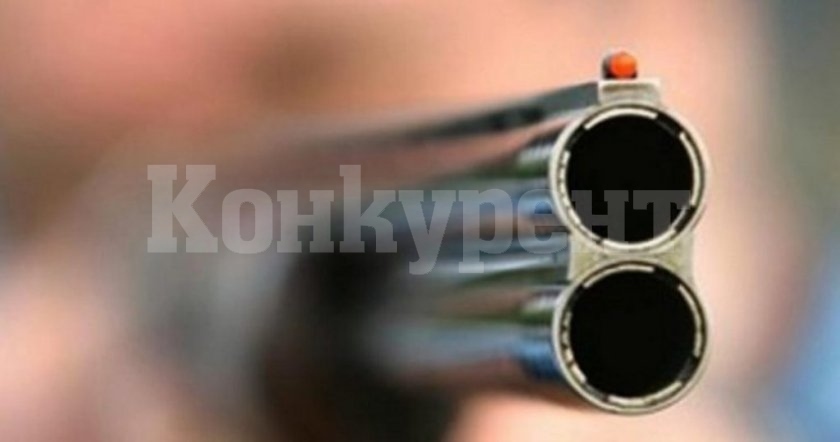 Зверство! Мъж простреля кучето на своя съседка във Врачанско