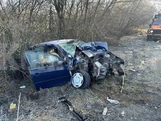 Две коли се удариха челно край видинско село, има пострадали