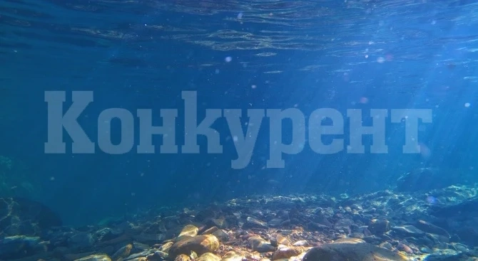 „Дълбоководното миньорство“ предвижда използване на тежка техника за търсене и добив на минерали в океана