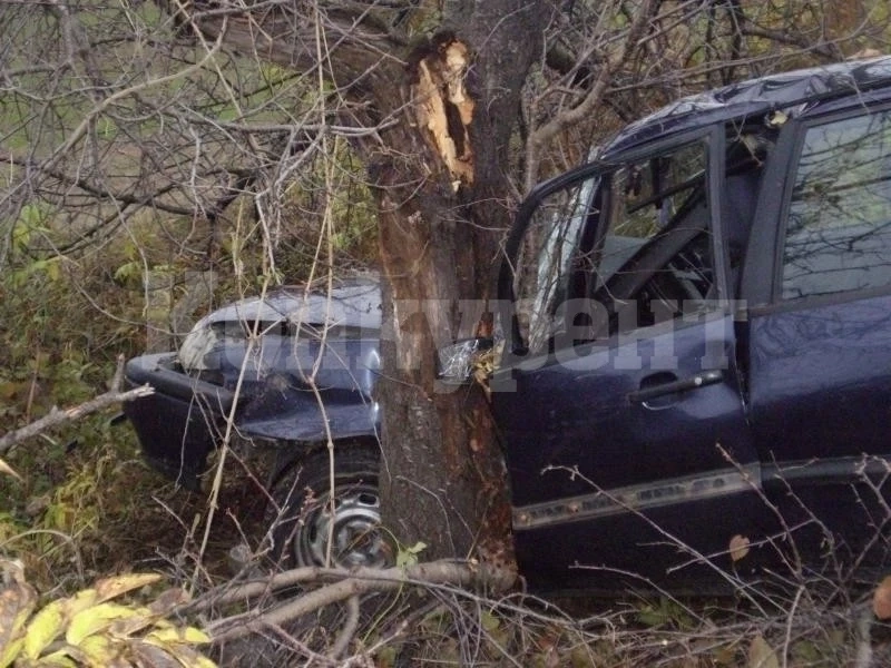 Дрогирана жена се заби с „Ауди“-то си в дърво