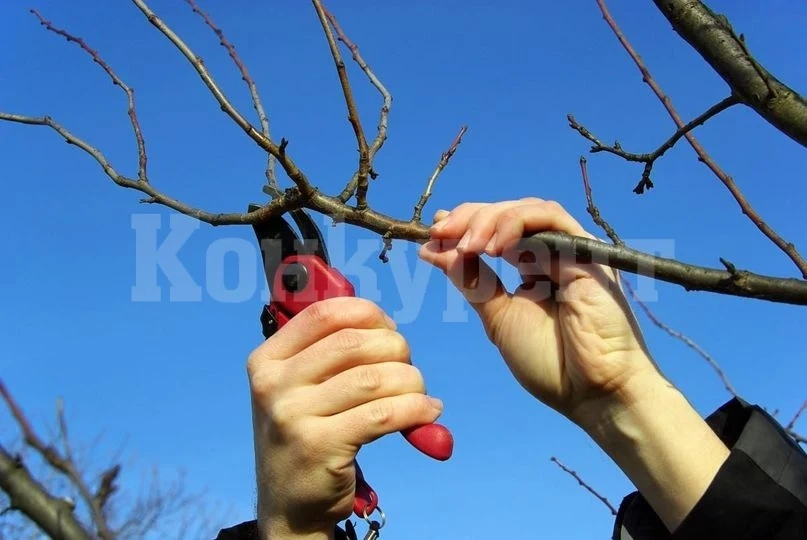 Община Мизия с ВАЖНО съобщение