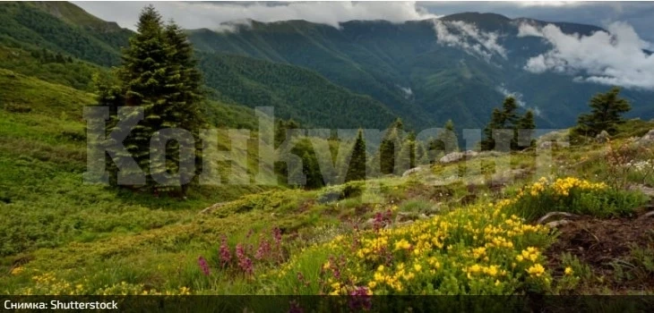 Пълна прогноза за март, температурите ще скачат от минус 5 до плюс 25 градуса