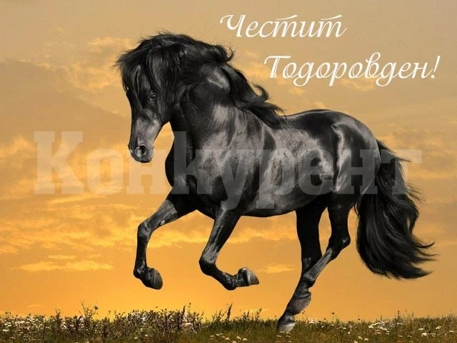 Днес е Тодоровден
