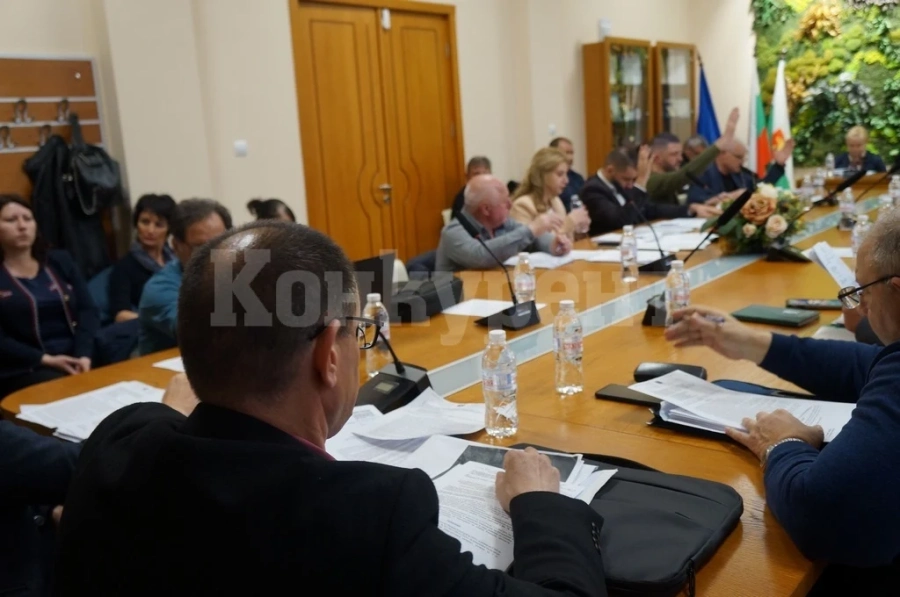 Ето какво гласуваха общинските съветници в Козлодуй