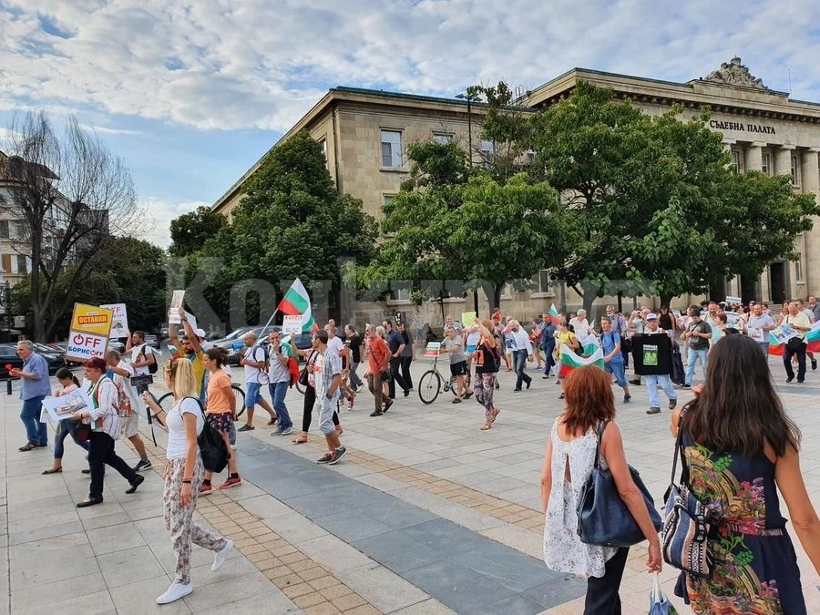Протест в Русе срещу мъж, пребил жестоко кучето си