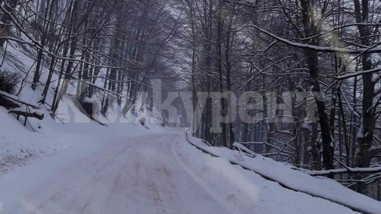 Спасители намериха две момичета, изгубили се във Витоша