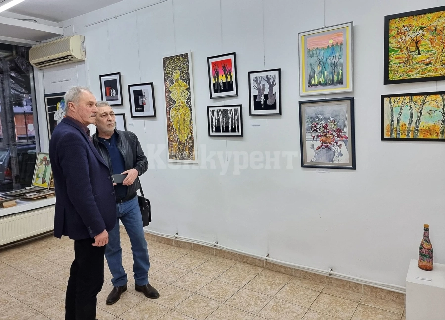 Дами подредиха изложба в Монтана