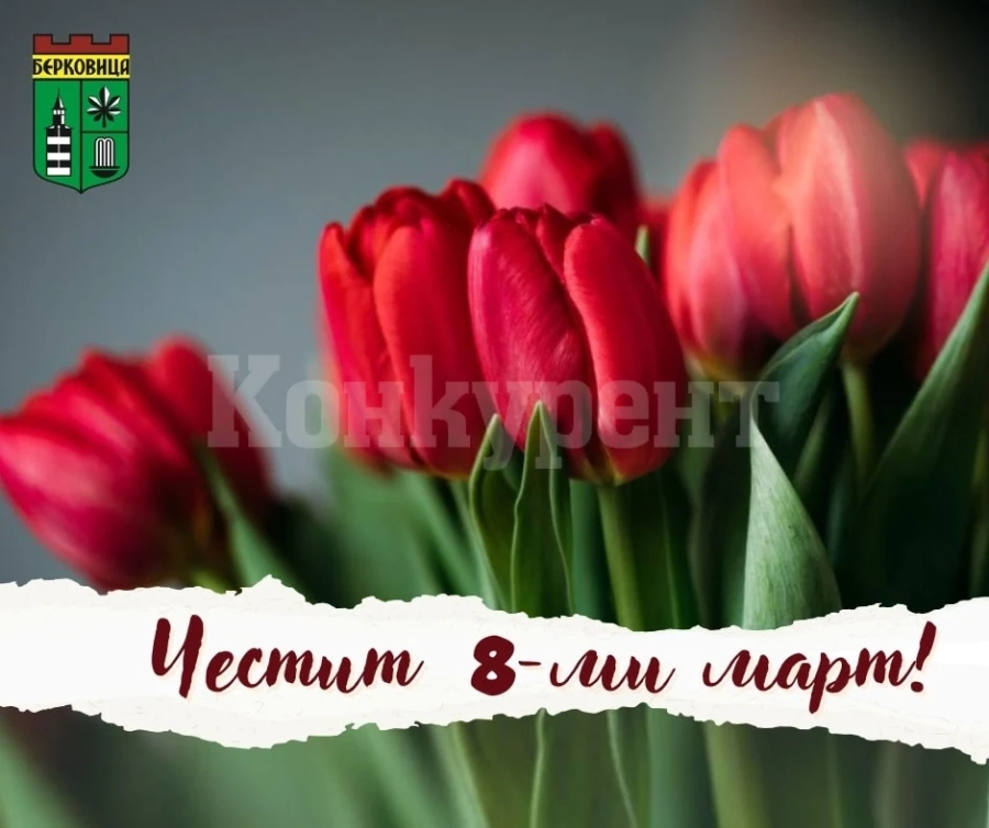 Кметът на Берковица с поздрав към дамите за 8-ми март