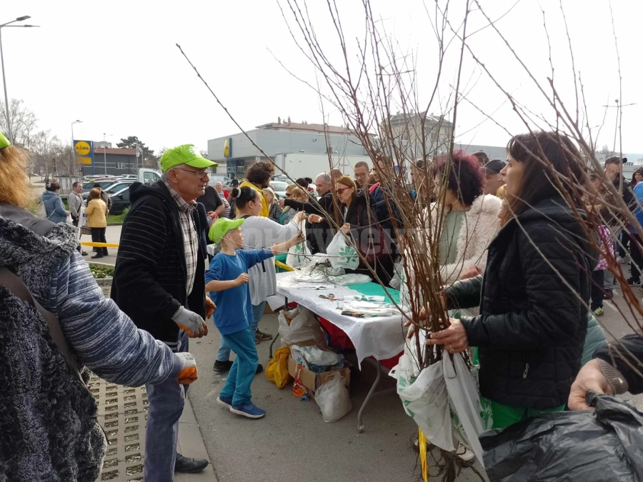 14 000 фиданки подари Гората.бг на Монтана