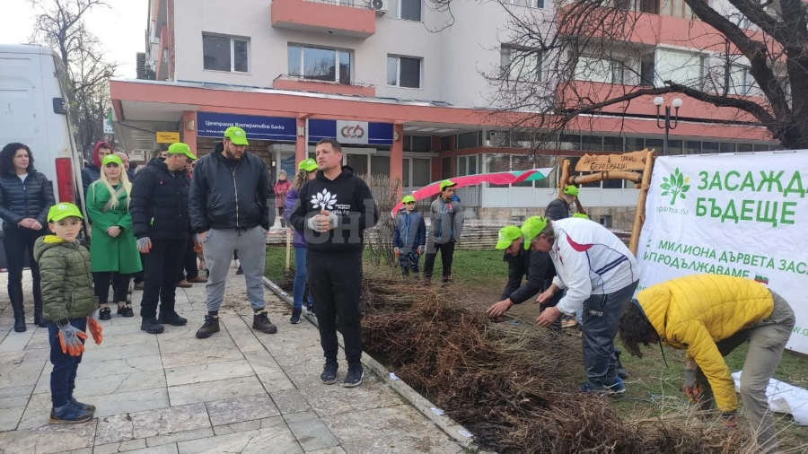 Гората.бг подари 7 000 дръвчета в Берковица СНИМКИ