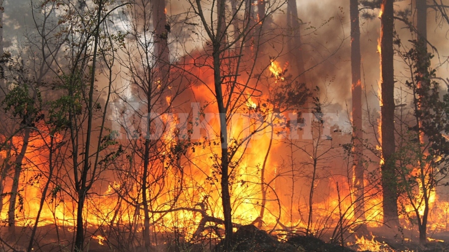Пожарникари гасили запалени отпадъци във Видинско
