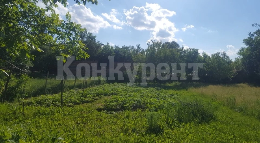 Продава се ливада на търг в Криводол