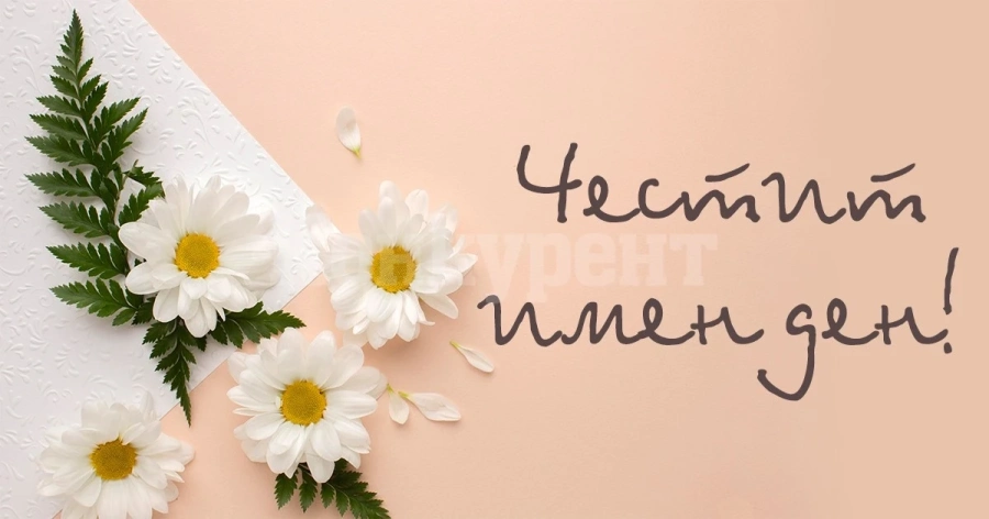 Божко, Божан, Божил, Манол,  Емануил,  Манчо и Тотьо черпят днес 