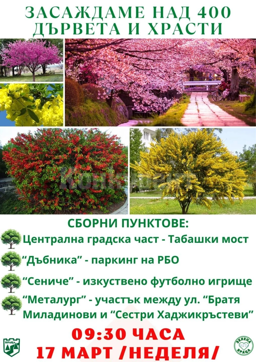 Стартира залесяването в жилищни квартали на Враца
