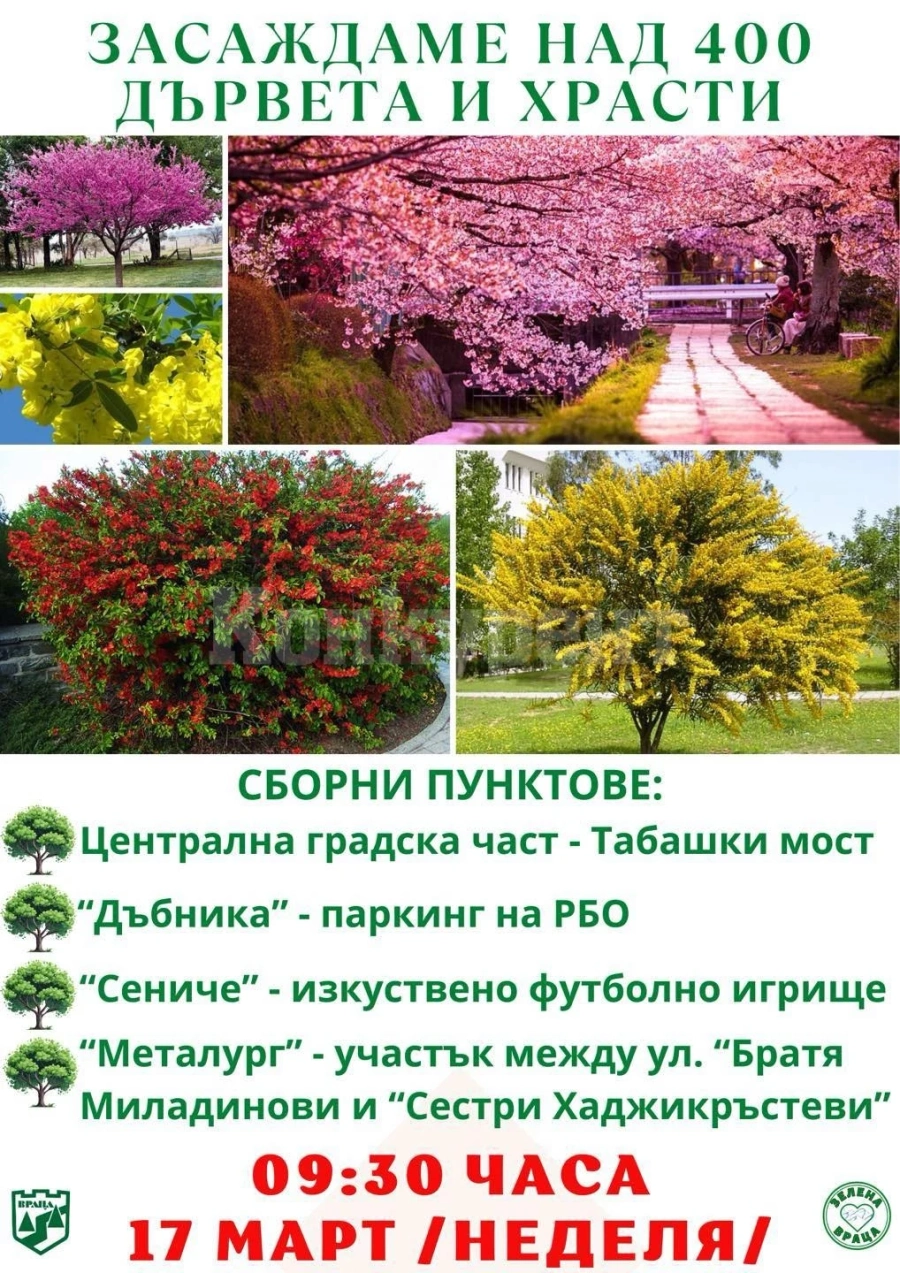 Засаждат над 400 дървета и храсти в 4 района на Враца СНИМКИ