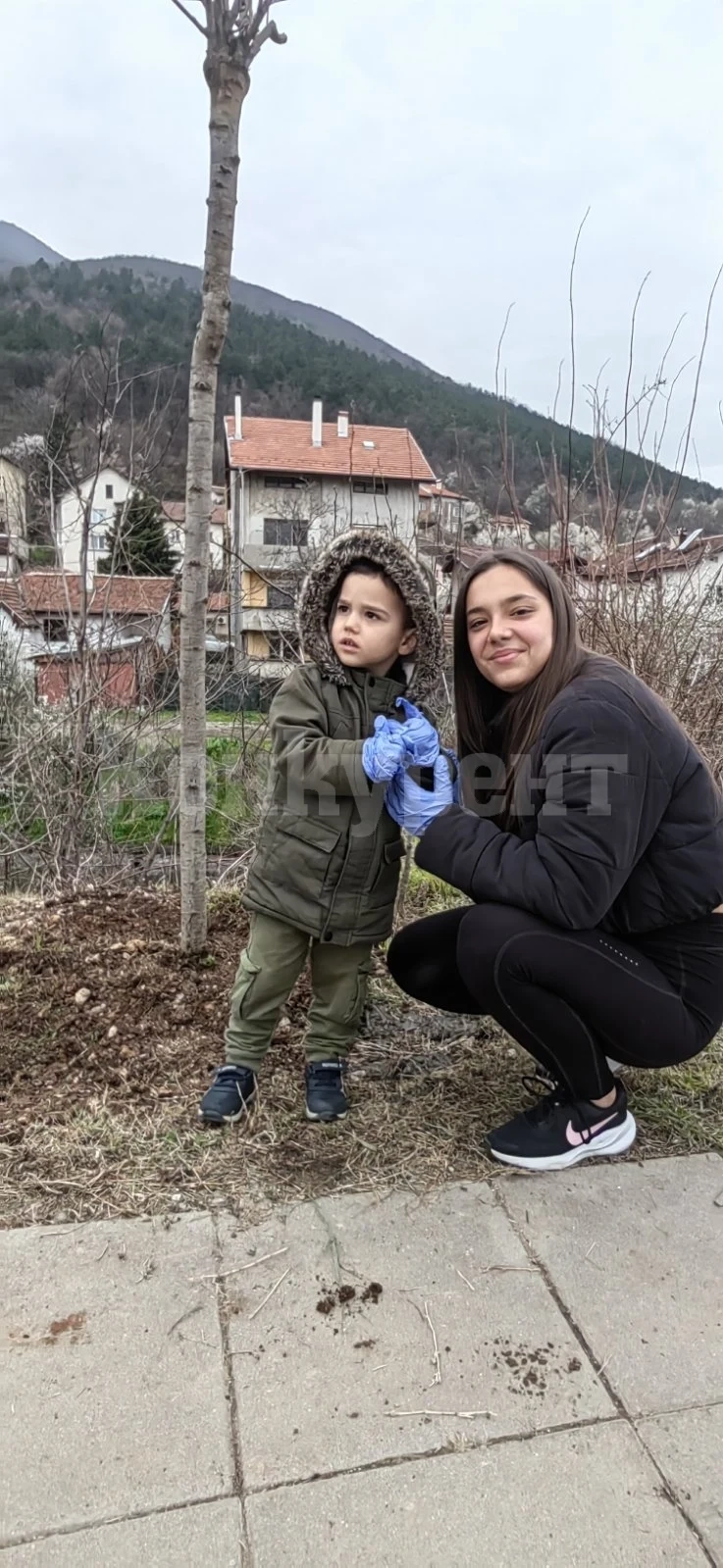 Започна засаждането на дръвчета във Враца.