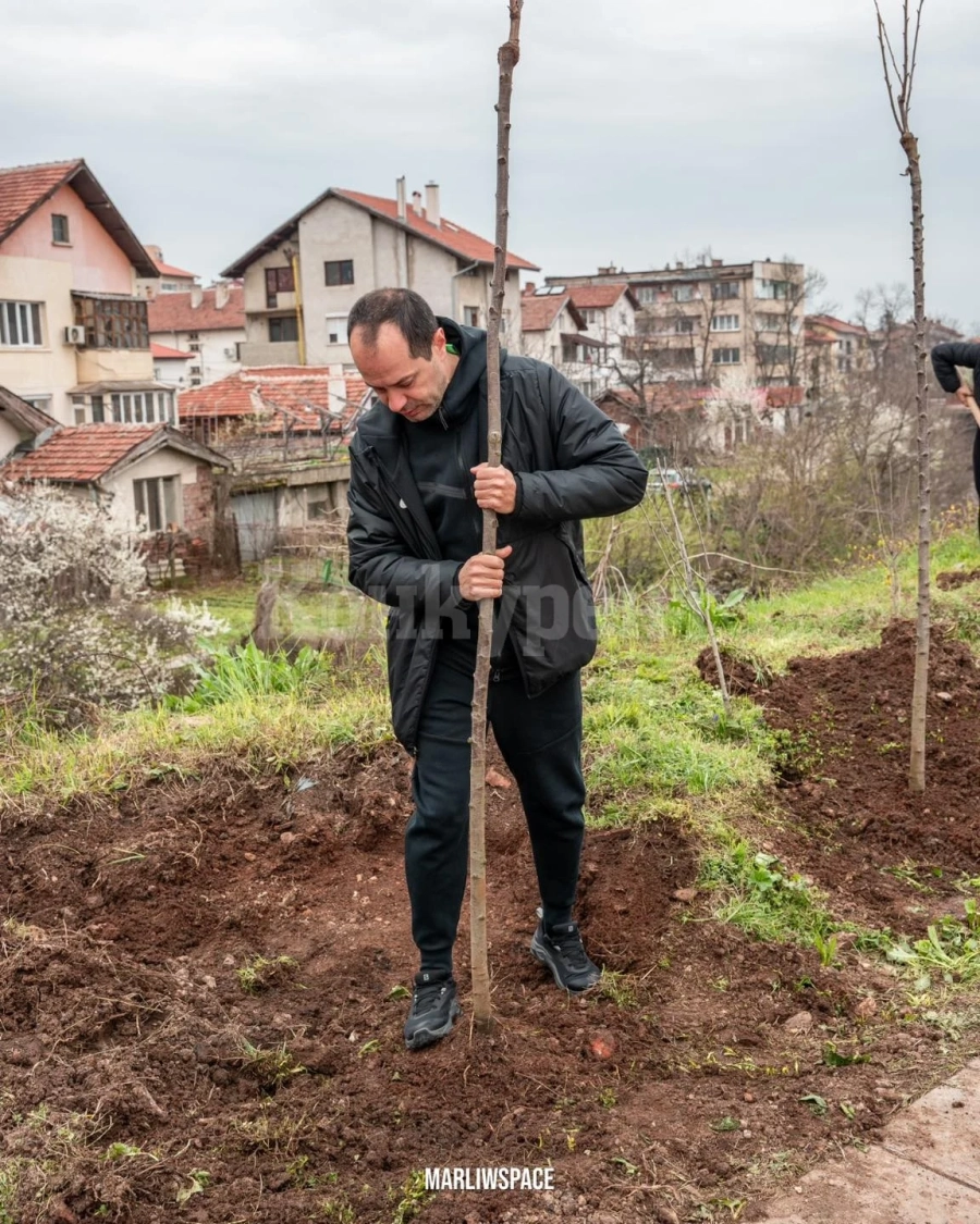 Стотици се включиха в засаждането на дървета във Враца