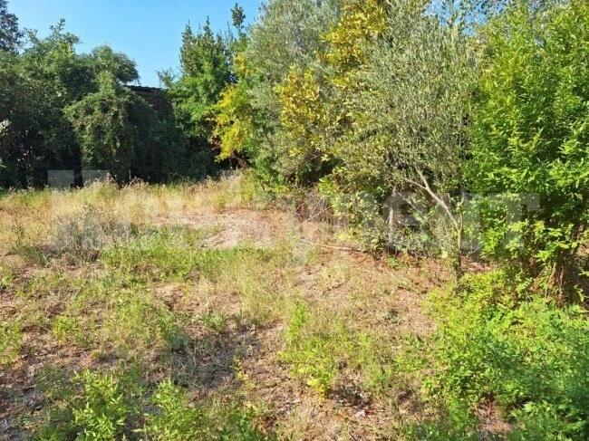 Продават 2524 кв.м. парцел във Врачанско