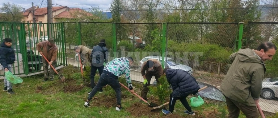 СЗДП организира „Седмица на гората“ във Видинско
