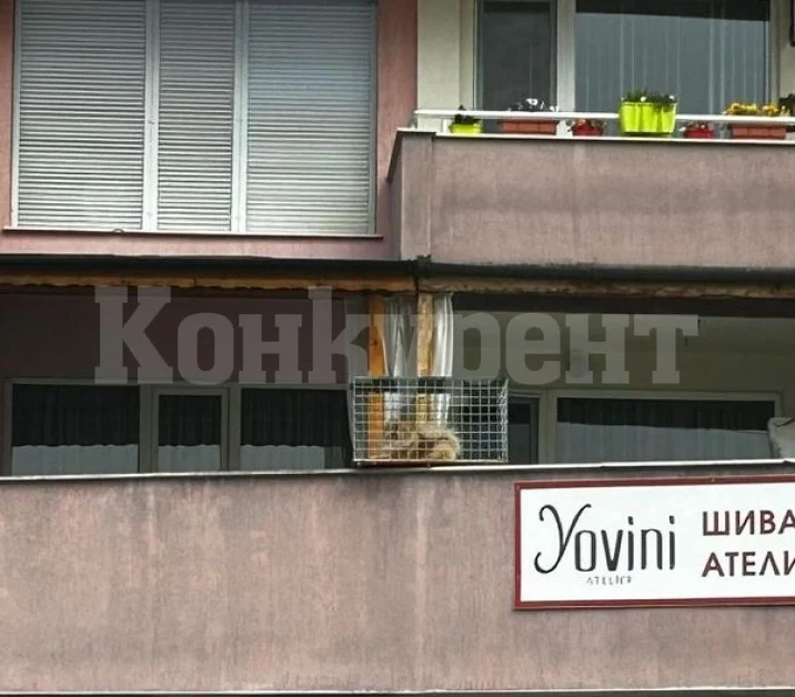 Затвориха кученце в клетка, оставиха го на тераса СНИМКА
