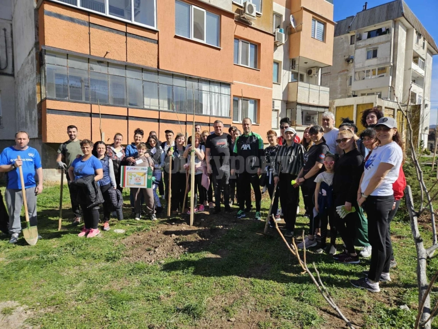 Засадиха още 100 дървета във Враца
