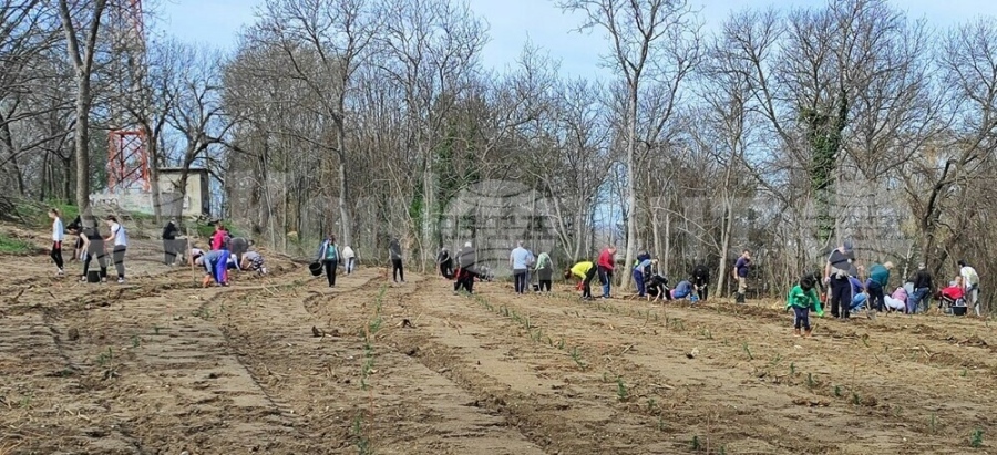 Доброволци от Силистра разчистиха местността около крепостта “Меджиди Табия”