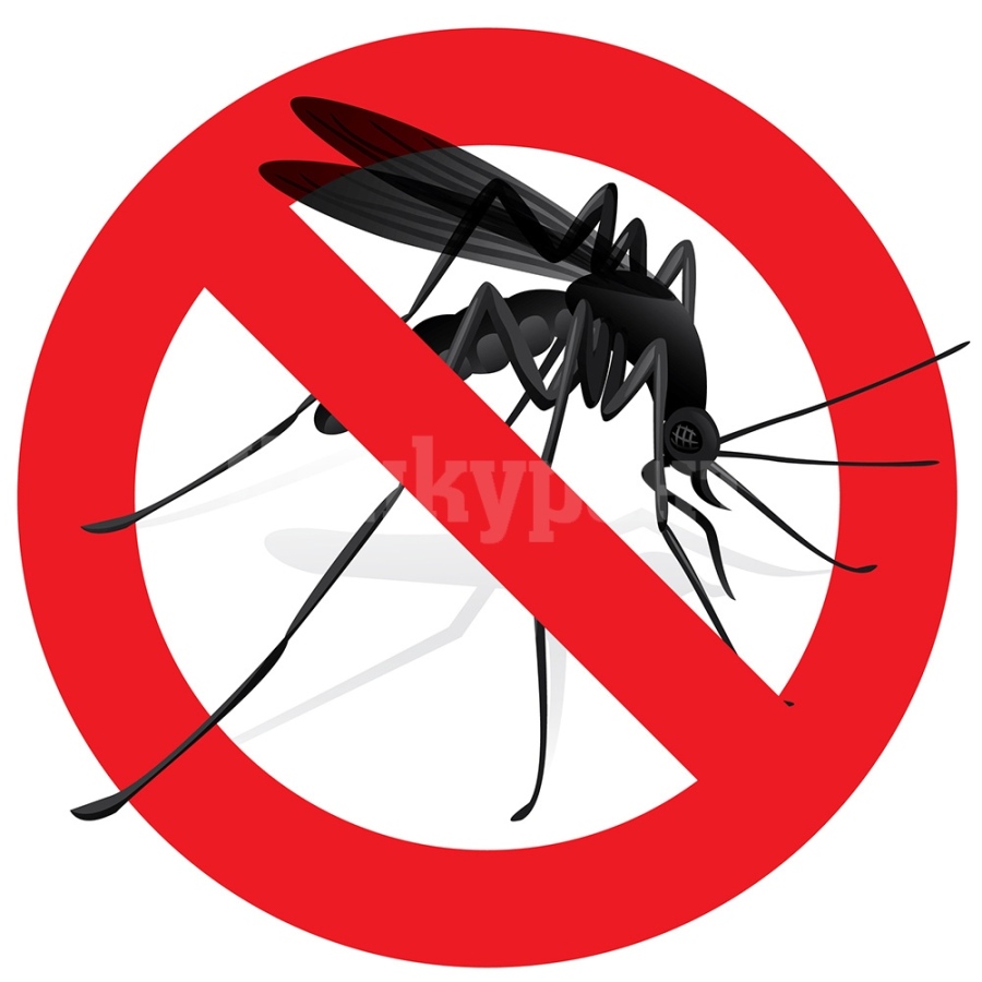 Започва третирането срещу комари в Община Козлодуй 