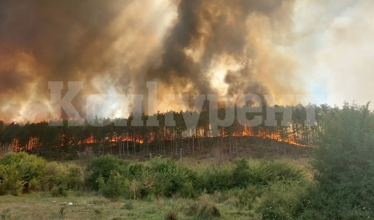 500 декара гори горят край Копривщица