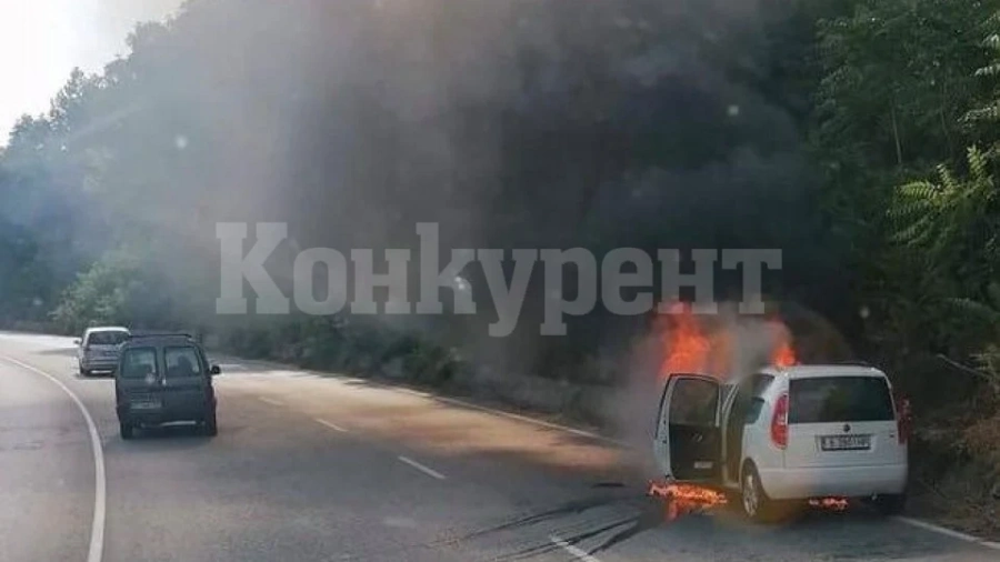Ван пламна в движение