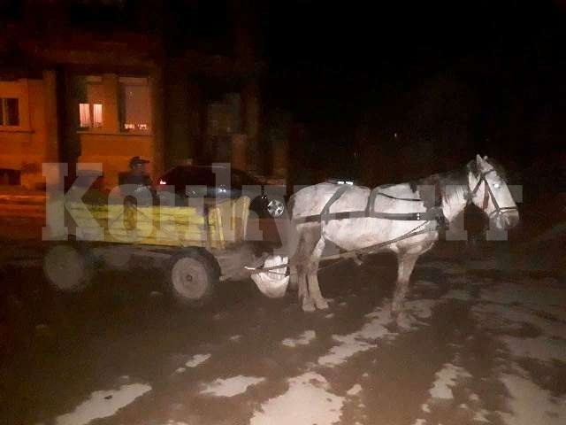 Полицаи засякоха каруца, превозваща незаконни дърва във Видинско