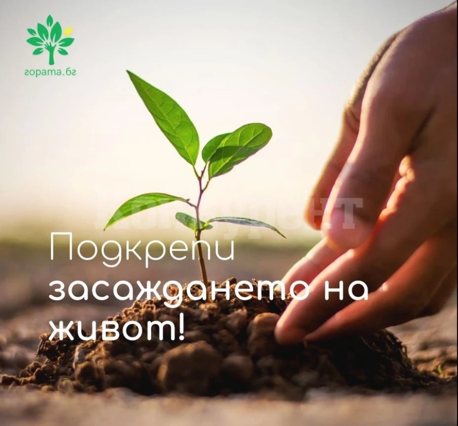Община Мездра получи 1 000 фиданки - дарение от „Гората.бг“ СНИМКИ
