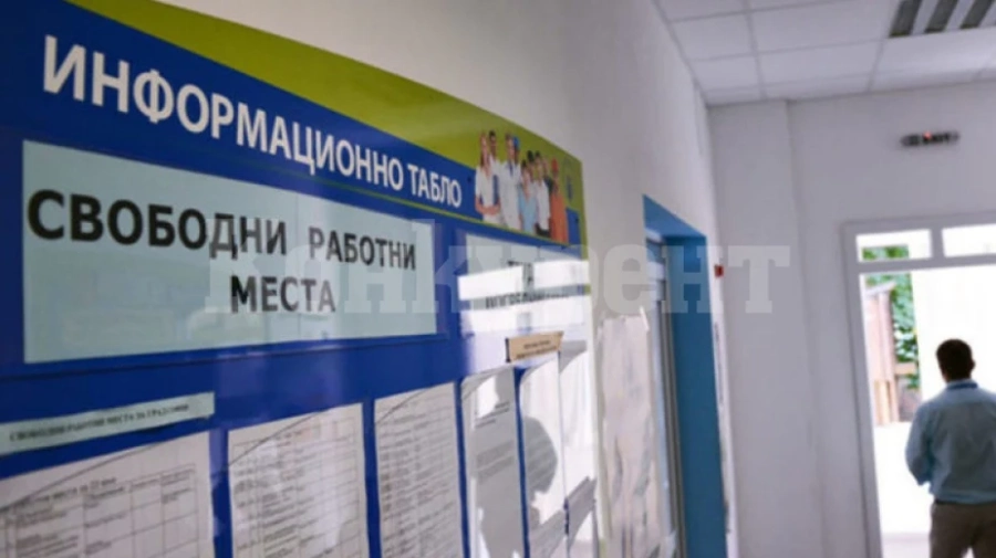 Видин и Монтана са с най-високи равнища на безработица