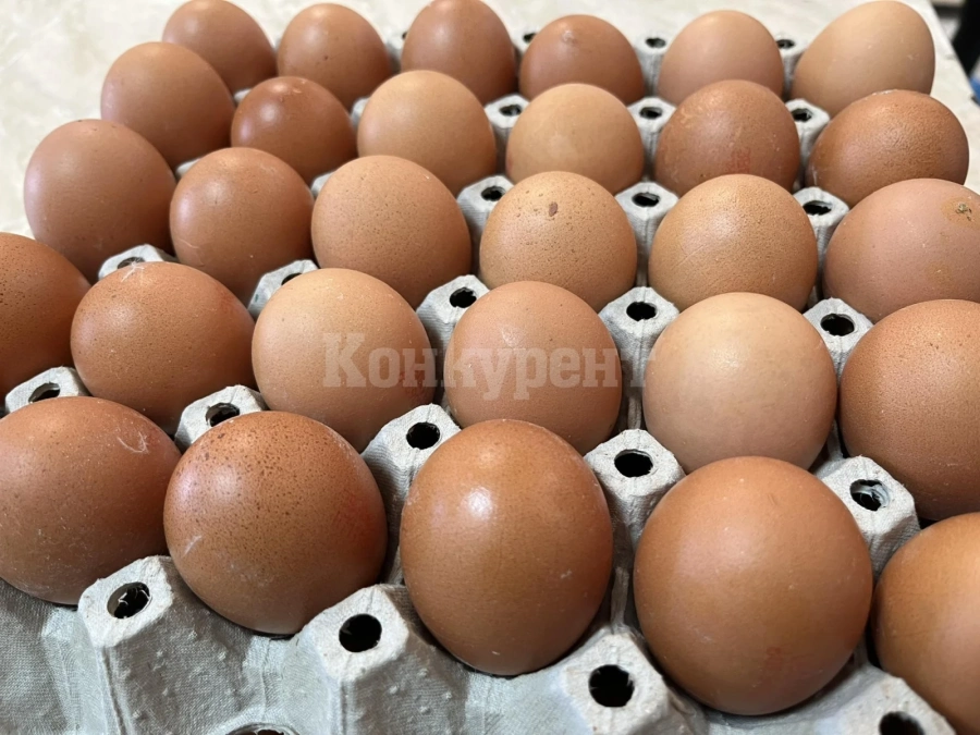 ЕС ограничава вноса на някои храни от Украйна