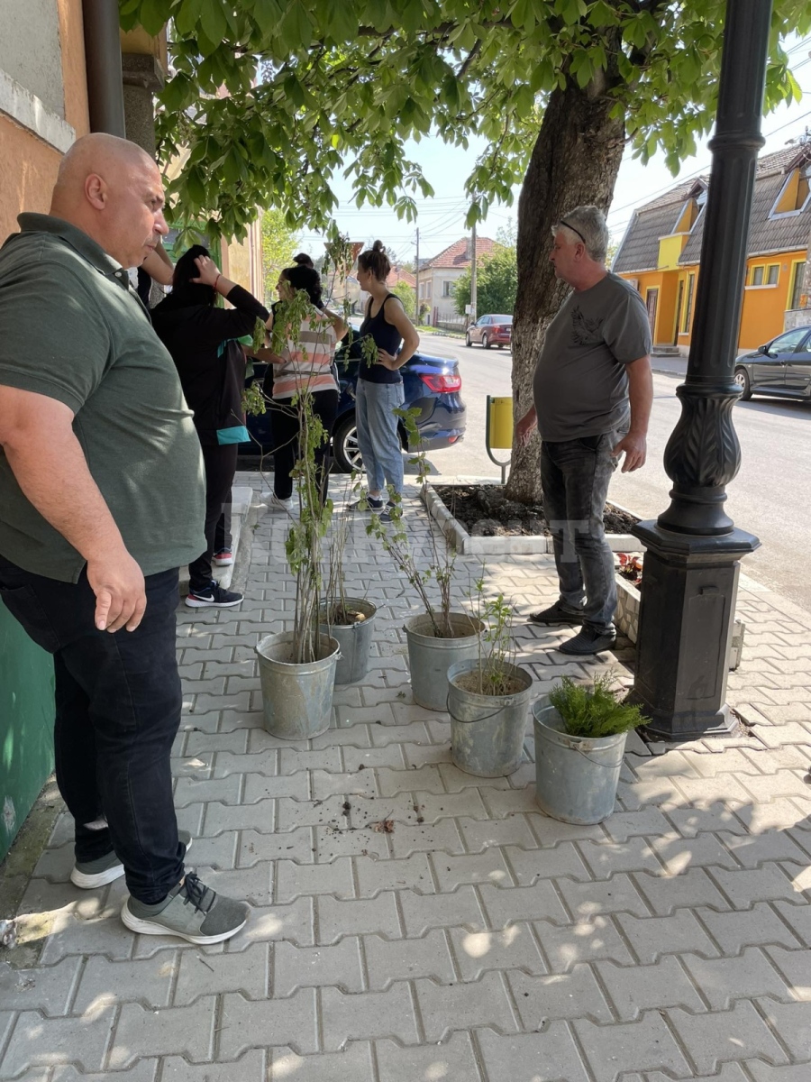 Служители от администрацията на Община Борован организираха пролетно почистване СНИМКИ