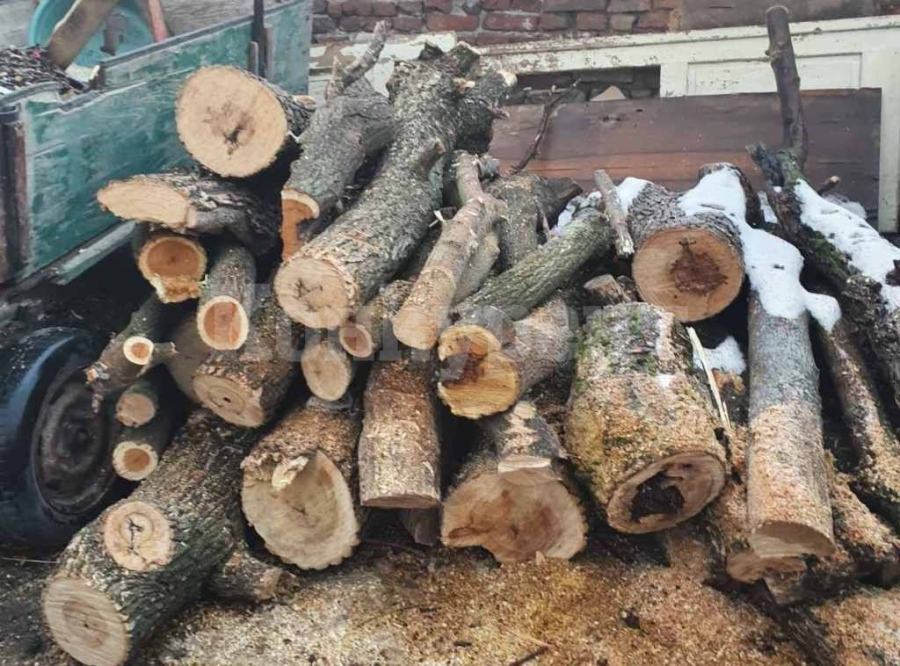 Намериха кубик бракониерски дърва в частен имот в Арчар
