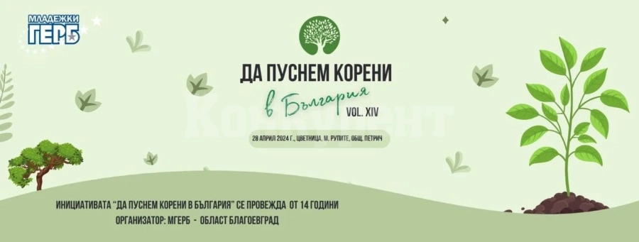 МГЕРБ за 14 години засадили 1 200 дръвчета в Рупите. \