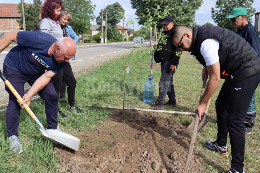 В Хърлец садиха дръвчета СНИМКИ