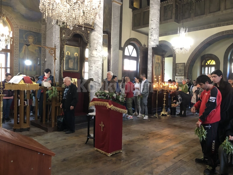 Стотици врачани в църквите на Цветница