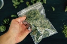 Заловиха берковчанин с дрога, спипан е на площада в Монтана