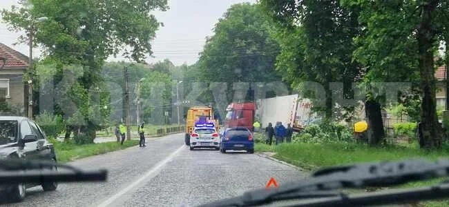 ТИР счупи дърво и бетонен стълб при пътен инцидент