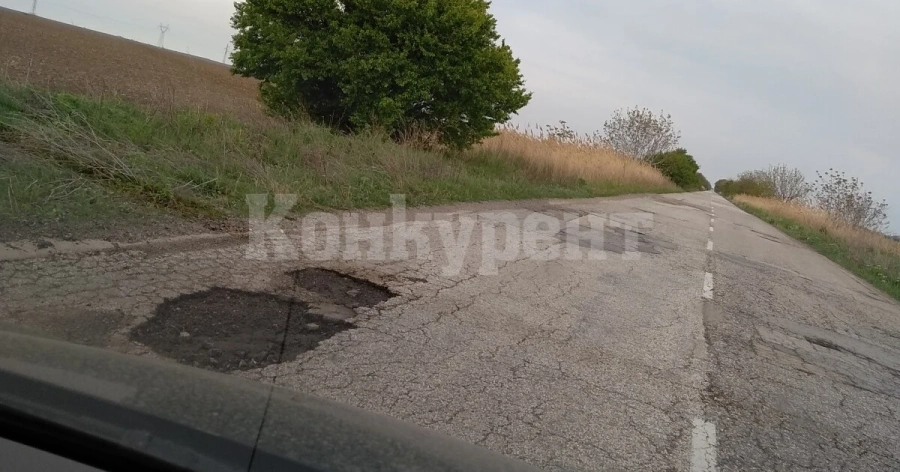 АПИ ще ремонтира пътя Лом-Козлодуй