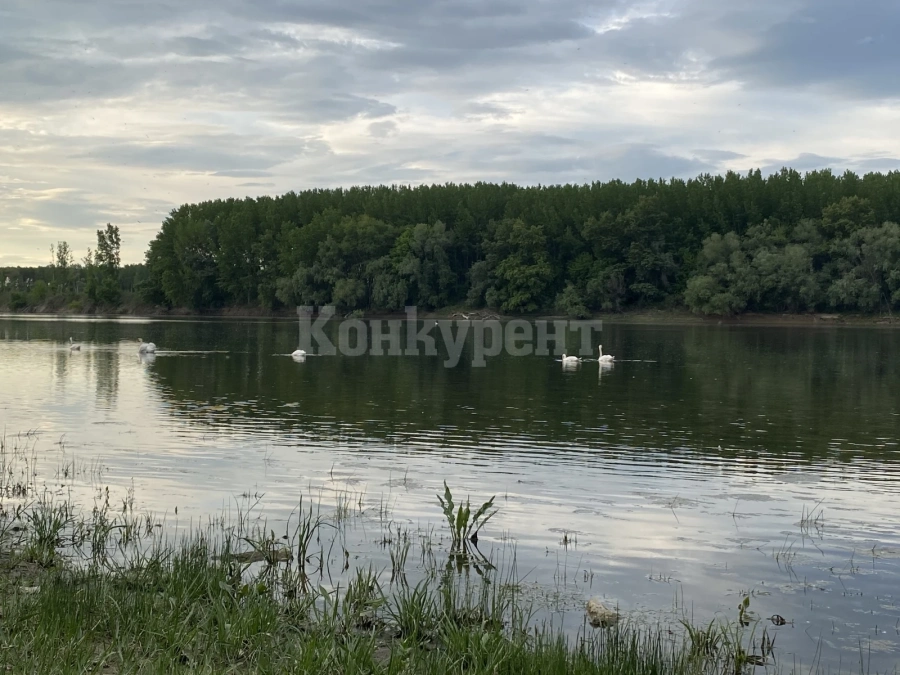 Вижте какво време ни очаква днес