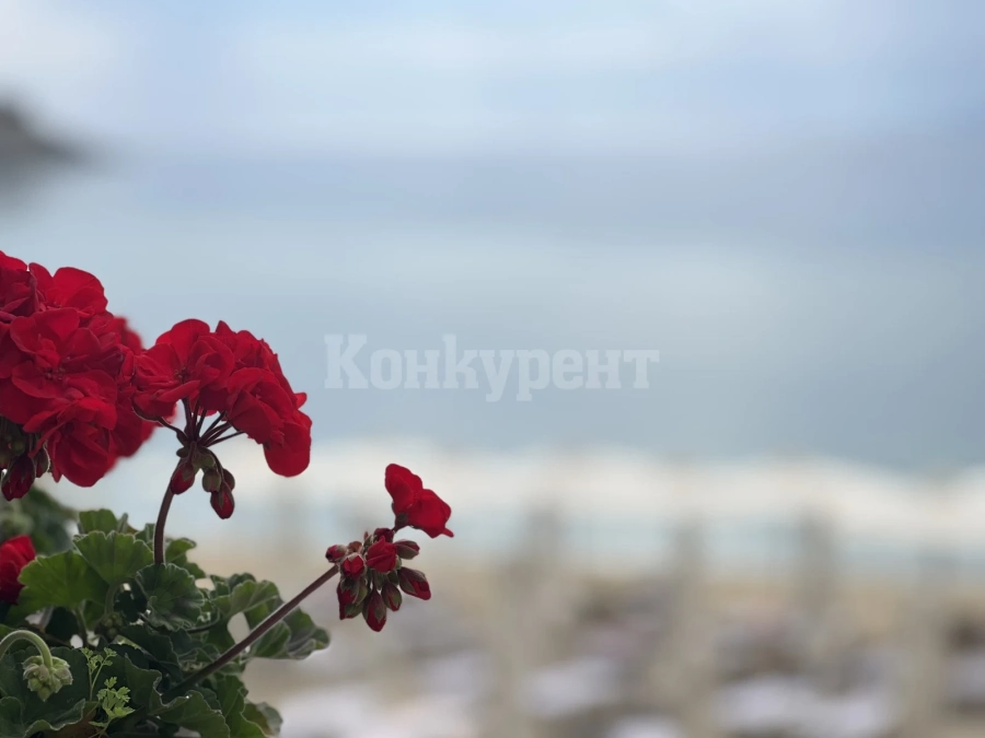 Вижте какво време ни очаква днес