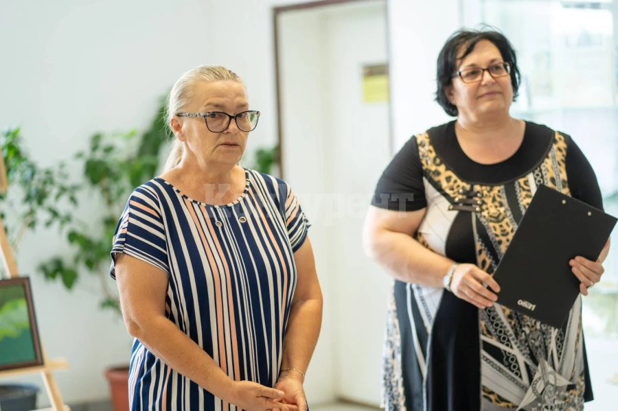 Изложба на картини от цветна вълна е подредена в Община Мездра