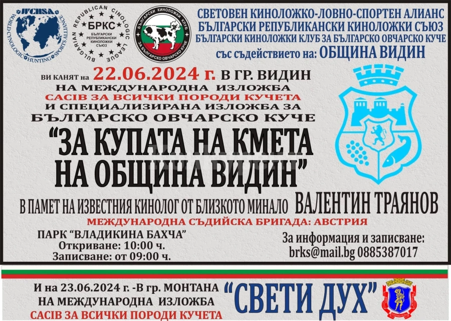 Киноложка изложба провеждат във Видин