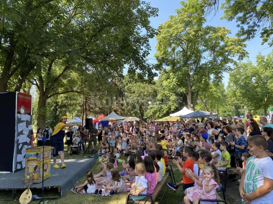 Куклено представление и творчески работилници на Vidin Art Festival “The River” за Международният ден на река Дунав 