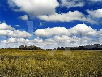 Вижте какво време ни очаква днес