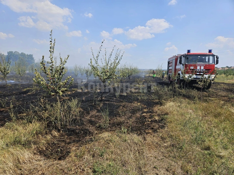 Пожарът в село Търнава е овладян