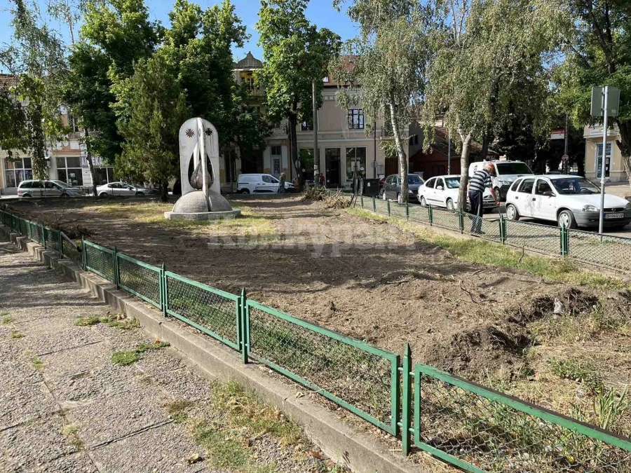 Предстои облагородяване на градината пред МОЛ-Видин СНИМКИ