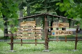 Във Вършец деца правят най-дългата рисунка на асфалт